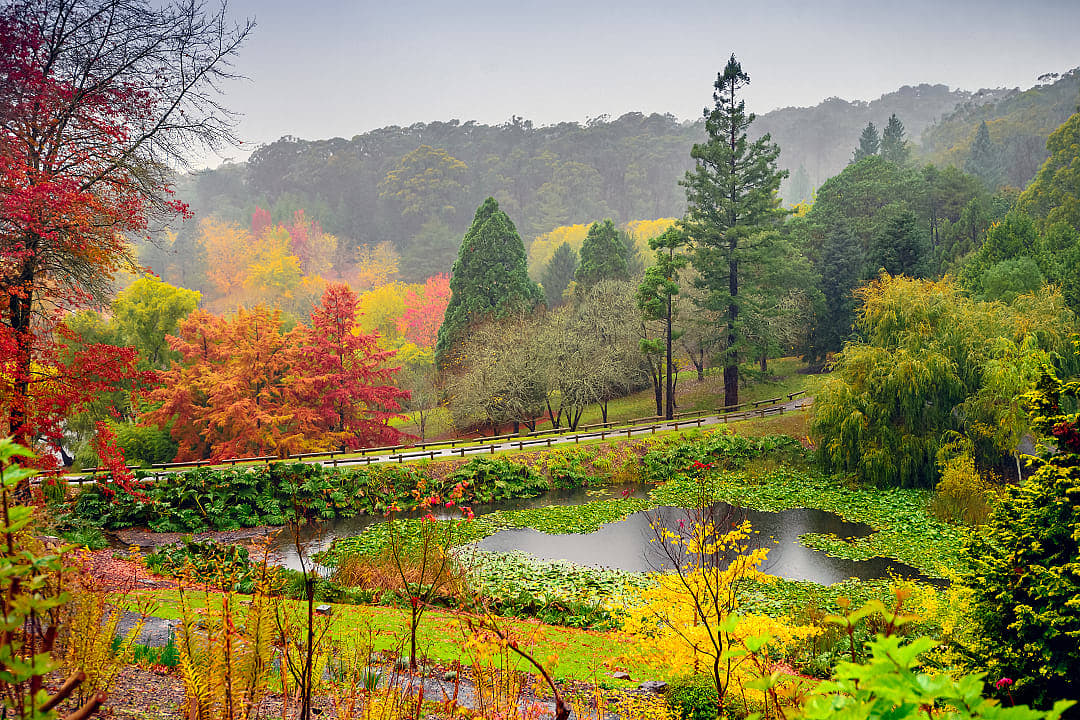 Mount Lofty Park in Adelaide Hills