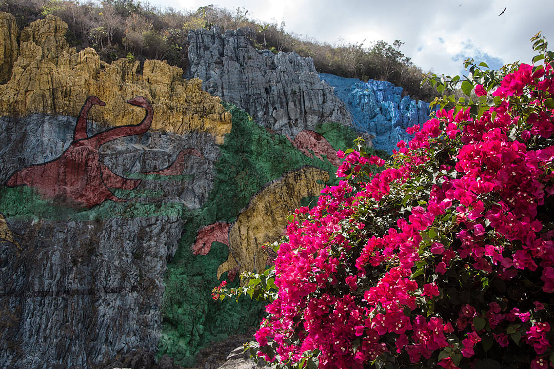 Mural, flowers and bird in Viñales Valley, Cuba.