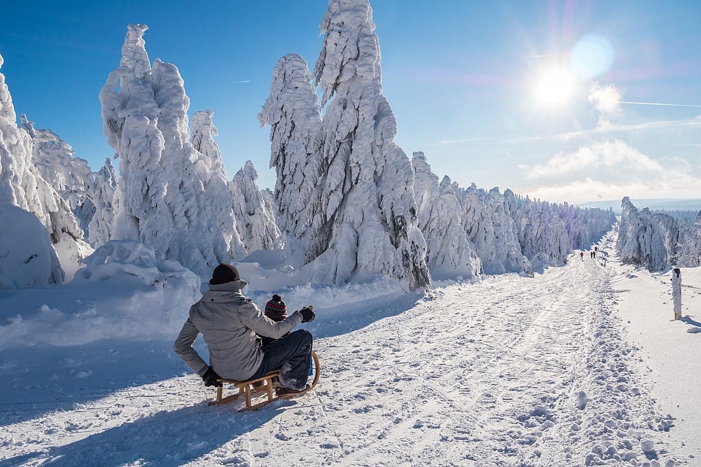 Sledding at the Ore Mountains Nature Park in Germany