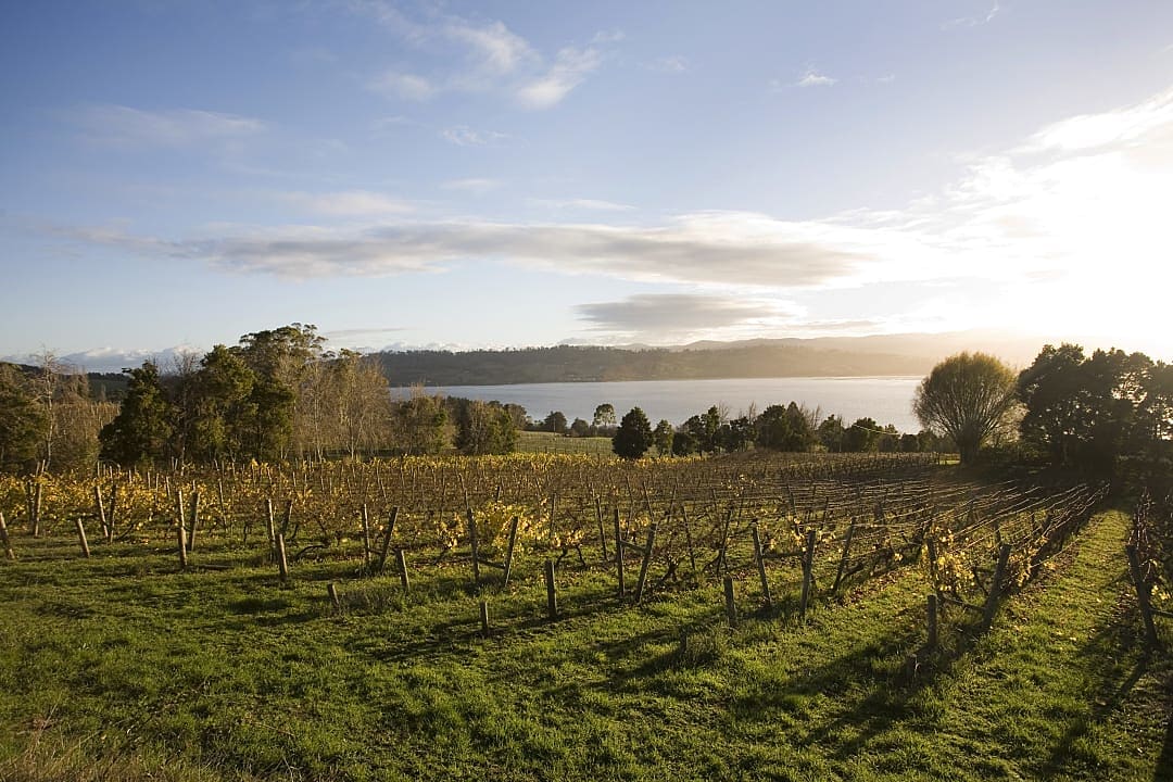 Tamar Valley at sunrise, known for producing fine wines.