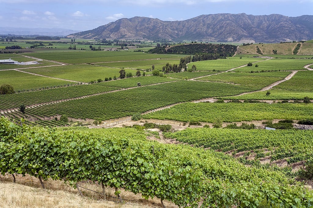 Vineyards surrounded by mountains in Colchagua Valley, Chile