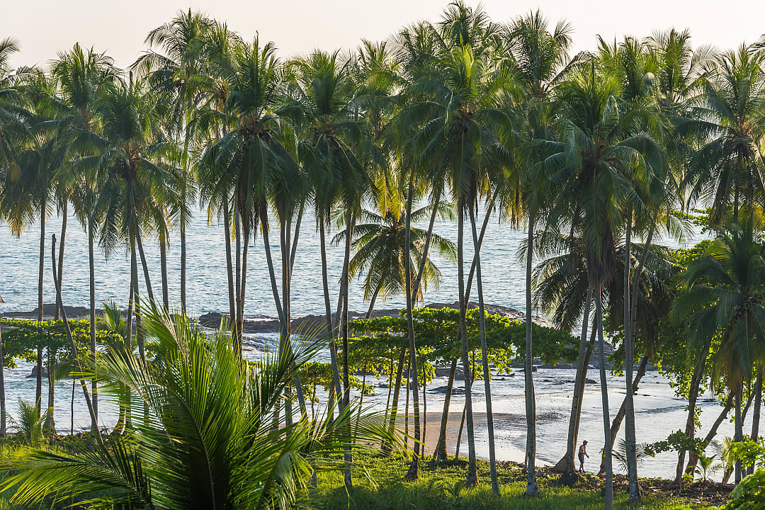 Tropical beach Playa Hermosa in Guanacaste, Costa Rica