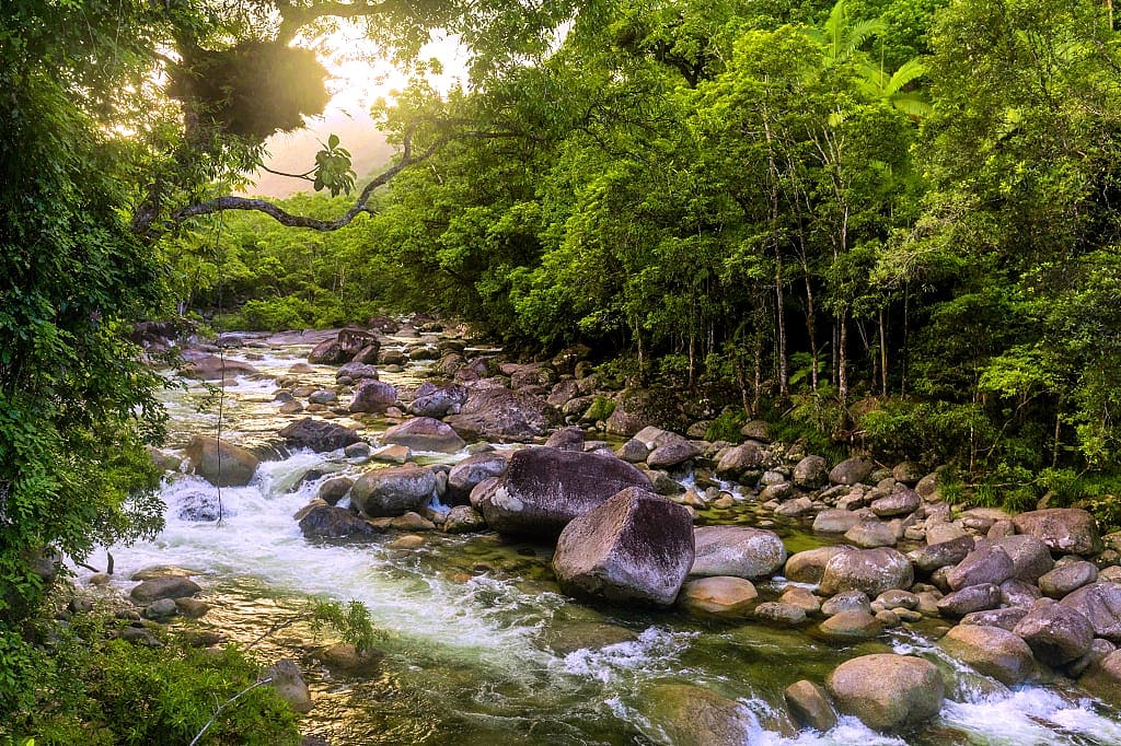 Mossman Gorge in Daintree National Park, Australia