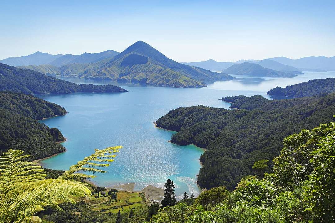 Marlborough Sounds in November where spring flush brings seasonal abundance.