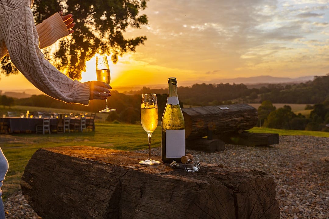 Vineyard in Byron Shire, New South Wales, Australia