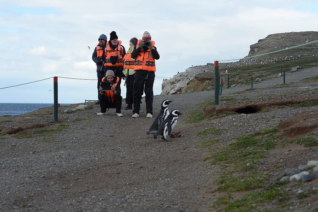 Tourists on Magdalena Island, Patagonia, Chile