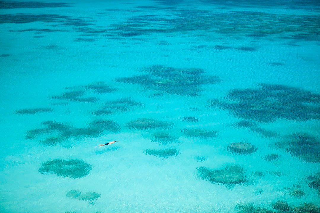 Person snorkeling in the pristine waters of Lizard Island, Australia. Photo supplied by Lizard Island Australia.