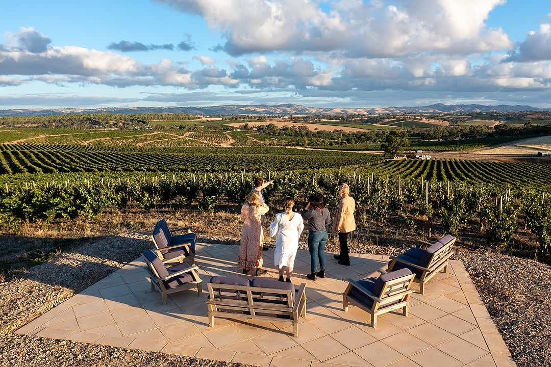 Group of friends at a vineyard in Barossa Valley, Australia