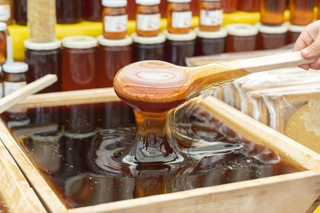 Honey Festival in Evia, Greece