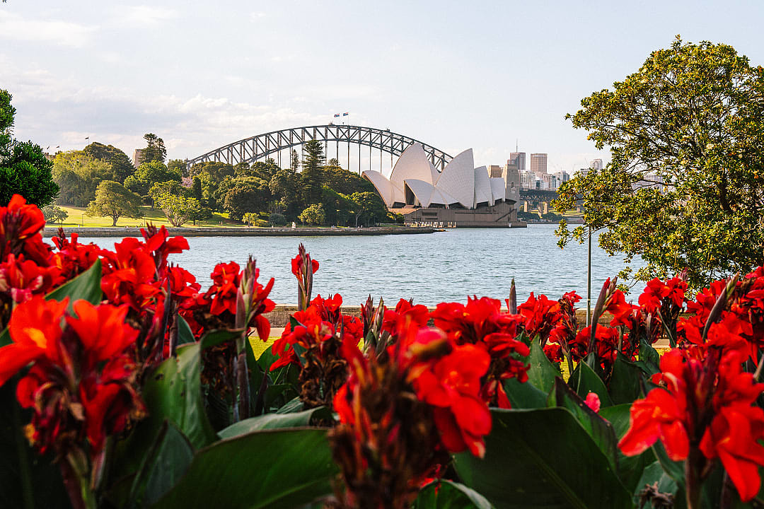 Iconic view of the Sydney Opera House and Sydney Harbour Bridge from the Botanic Gardens