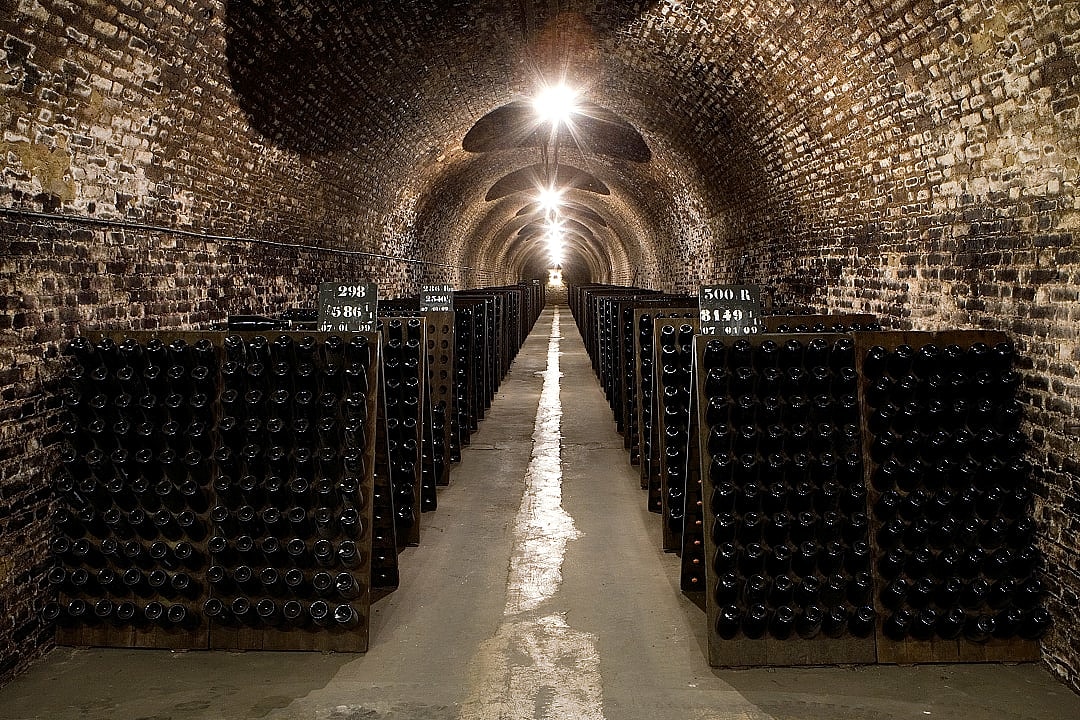Champagne cellar in the Champagne region in France