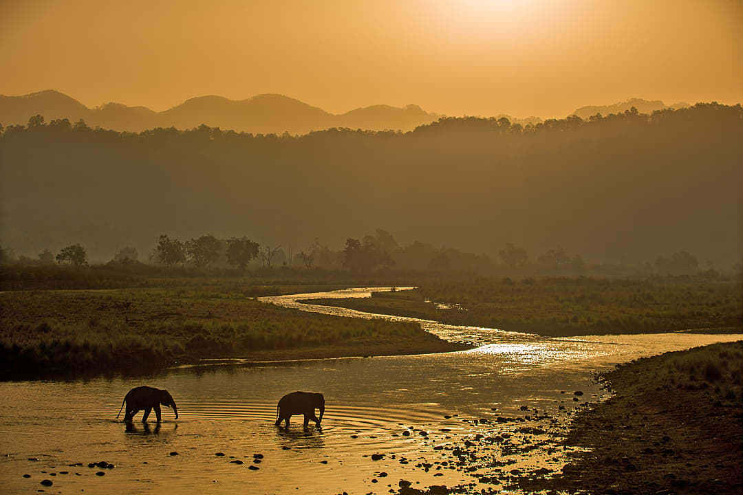 Two elephants wade through a golden river at sunset, surrounded by Himalayan foothils in a serene jungle landscape
