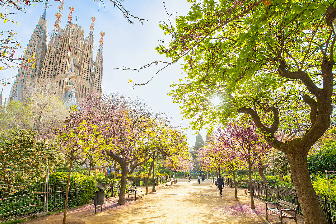 Gaudi's Sagrada Familia in Barcelona, Spain