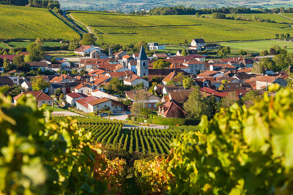 Champagne vineyards surround Baroville village in the Cote des Bar region of France
