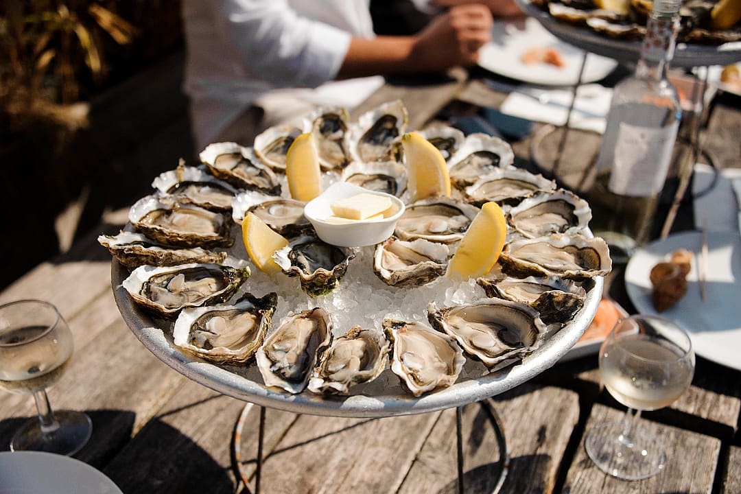 Plate of fresh oysters on ice with lemon wedges, served outdoors with white wine and rustic ambiance