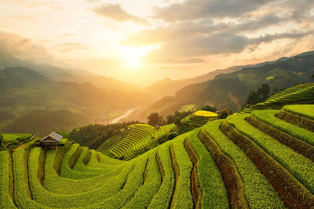 Rice terraces in the rural district of Mu Cang Chai in the Yen Bai province of Vietnam