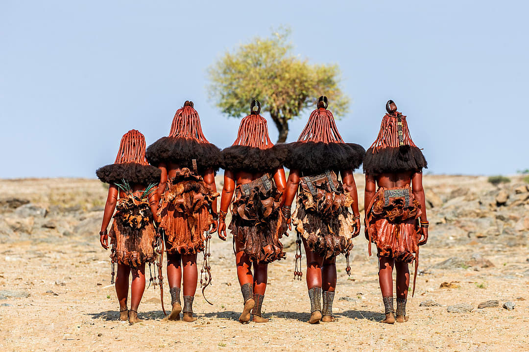 Himba women walk gracefully across the arid Namibian landscape together.
