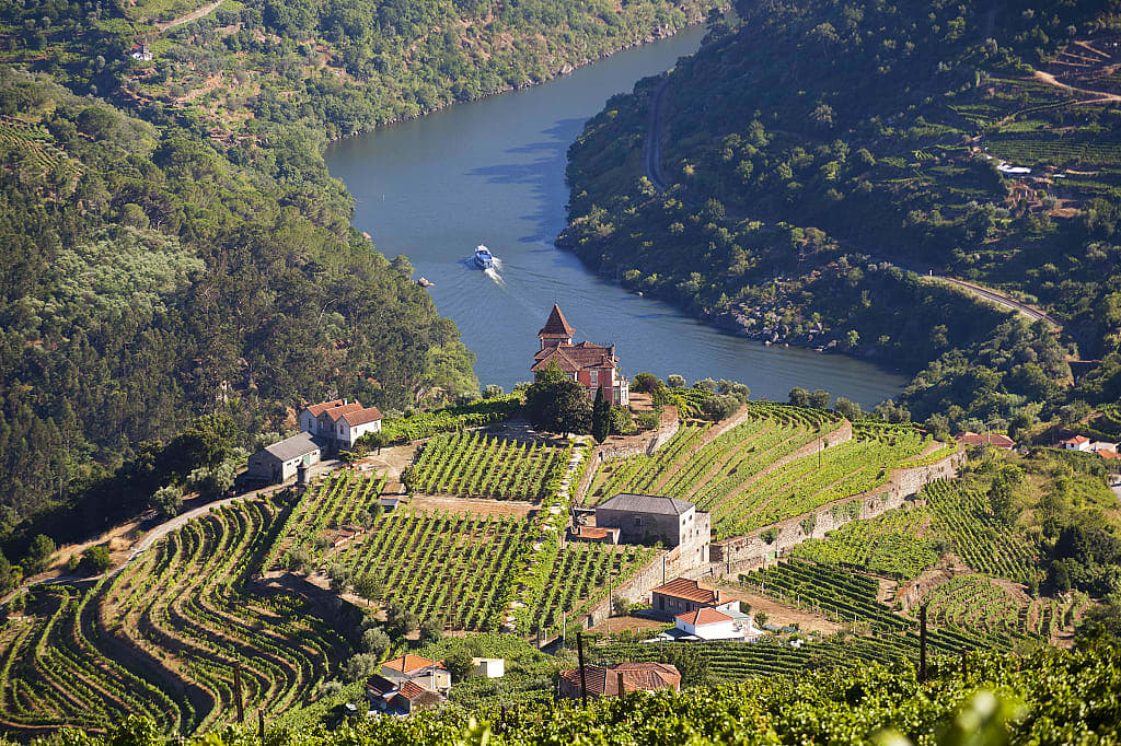 Hilltop vineyards in Portugal's Duoro Valley wine region