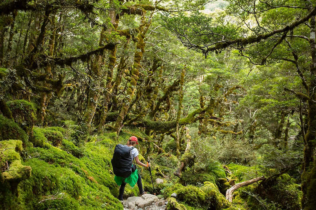 Hiker on Routeburn Track where October marks the official opening.