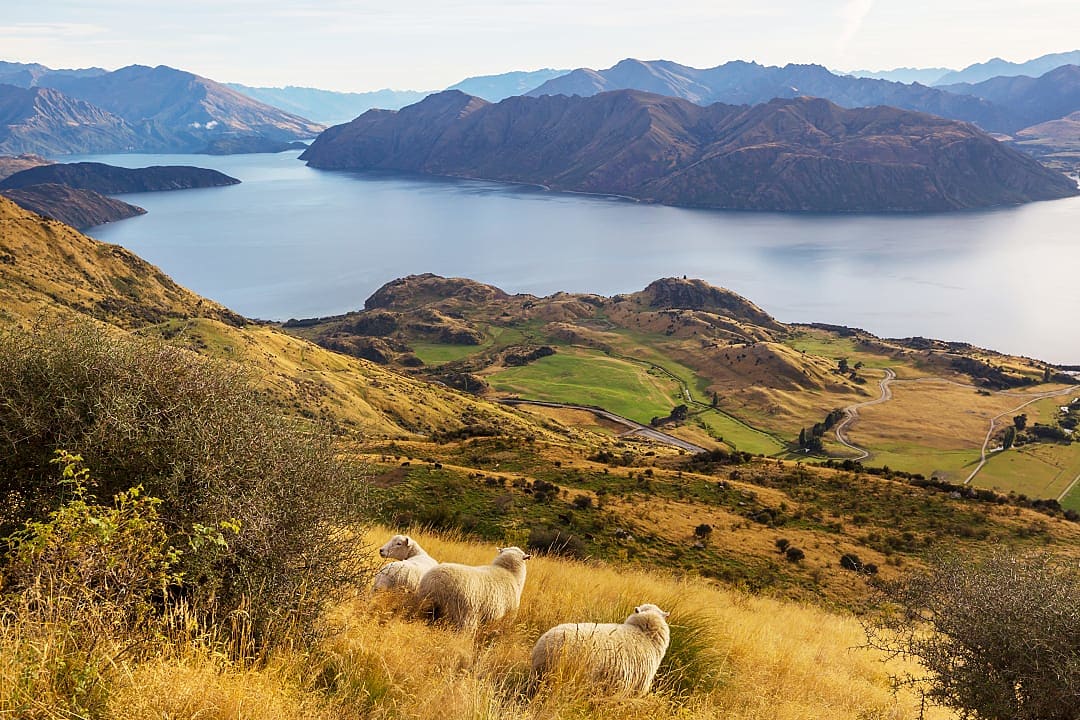 Roy's Peak in New Zealand