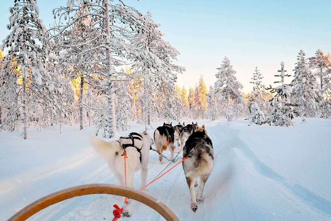 hildren in Finland where chasing northern lights is a part of the memory.
