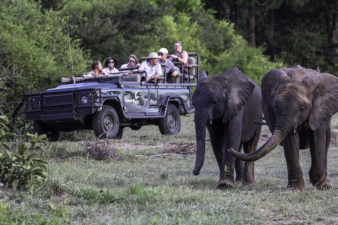 Game drive in MalaMala Game Reserve. Photo courtesy of MalaMala Game Reserve