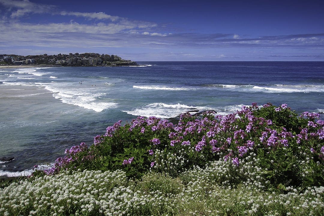 Bondi Bay in Sydney, Australia
