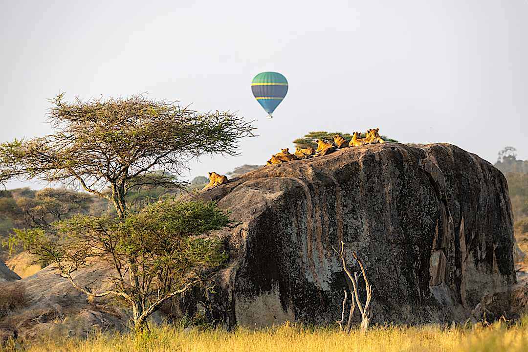 Serengeti National Park, Tanzania