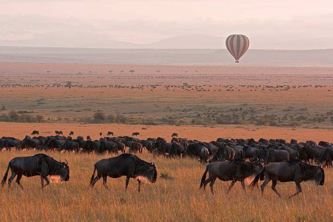 A hot-air balloon safari in Kenya, Africa.