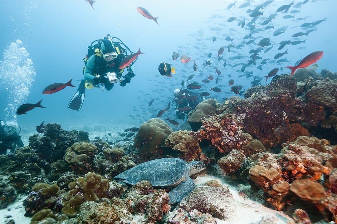 Scuba diving in the Galapagos