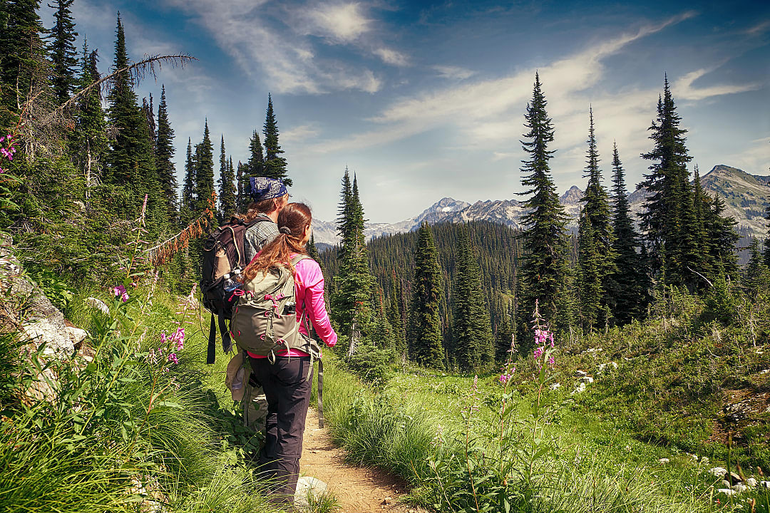Hikers explore a scenic trail in Mount Revelstoke.