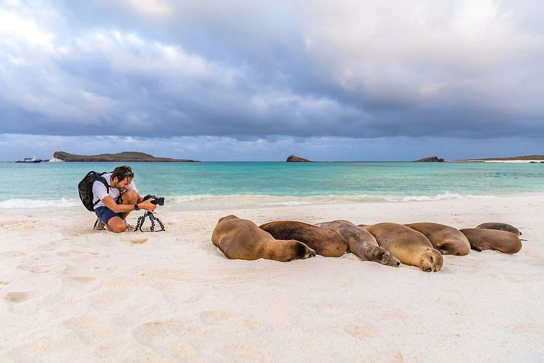 Man photographing sleeping sea lions on the beach in Espanola Island, Galapagos