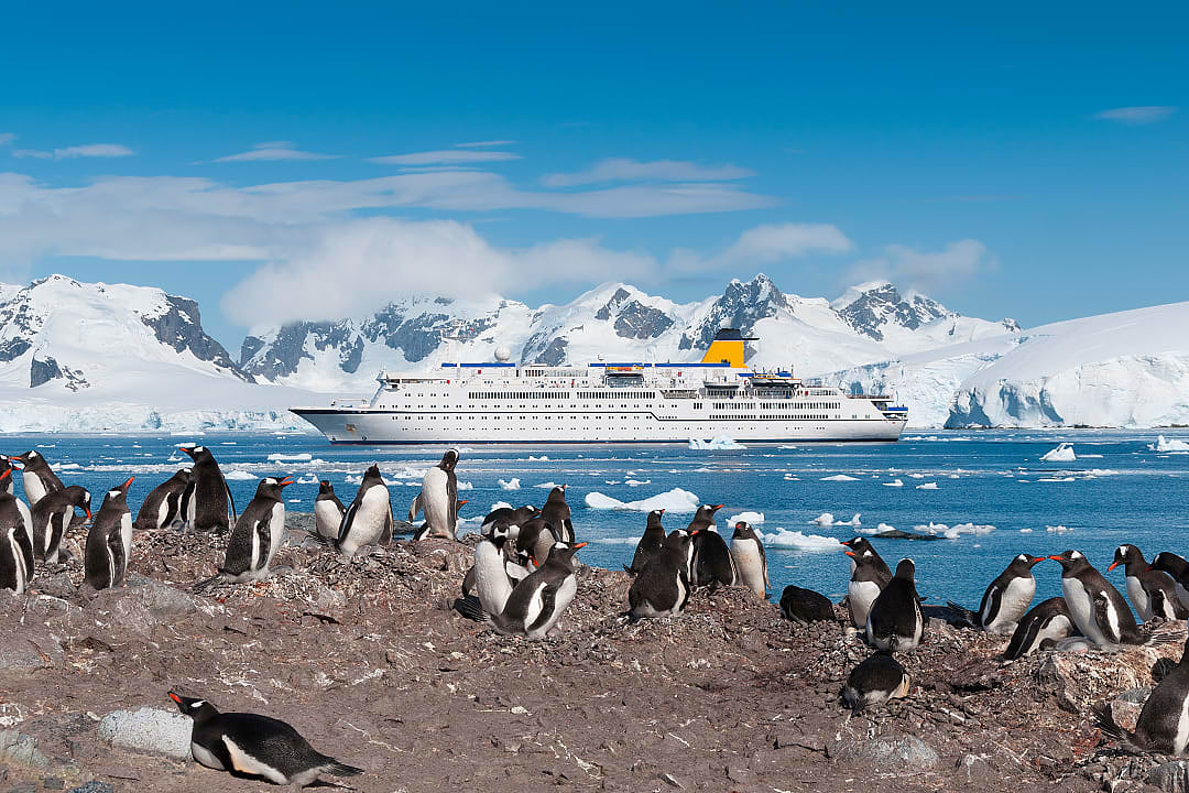 Penguin colony and cruise ship in Antarctica