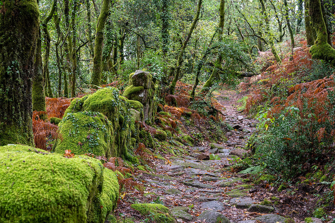 Peneda-Gerês National Park, Portugal