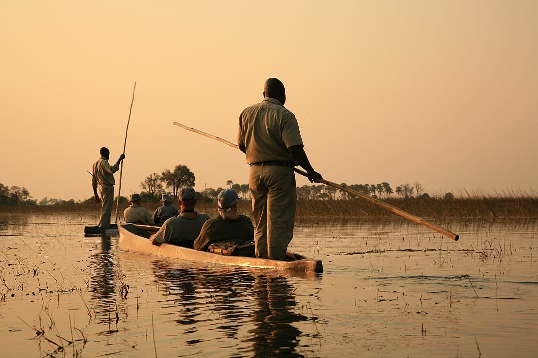 Guides navigate mokoro canoes through the Okavango Delta at sunset.