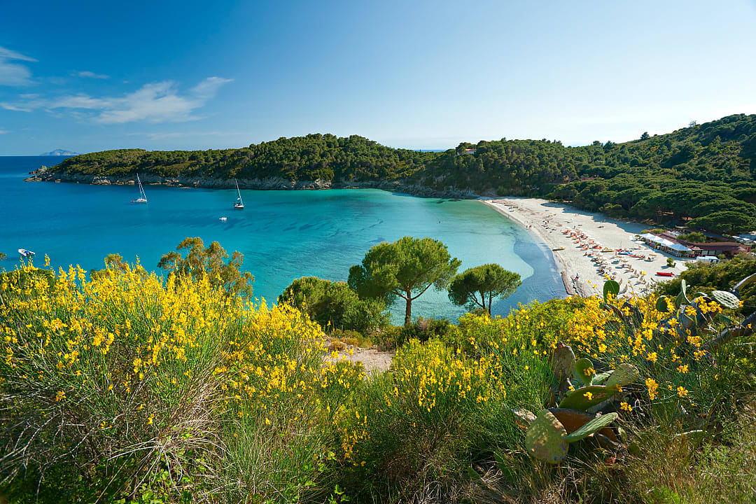 Beach of Fetovaia at Elba Island in Italy