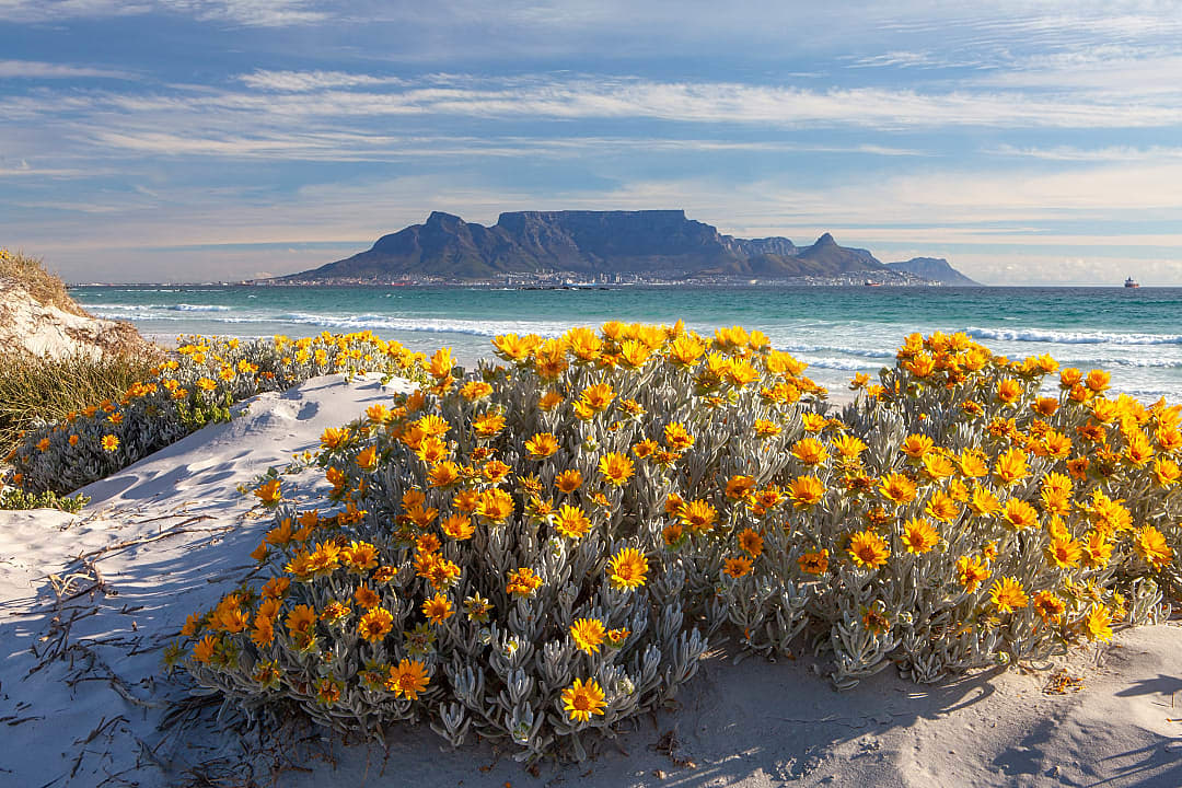 View of Table Mountain in Cape Town, South Africa