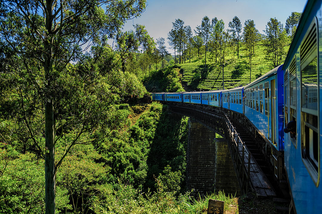 Train passing through the tea plantations in Haputale, Sri Lanka.