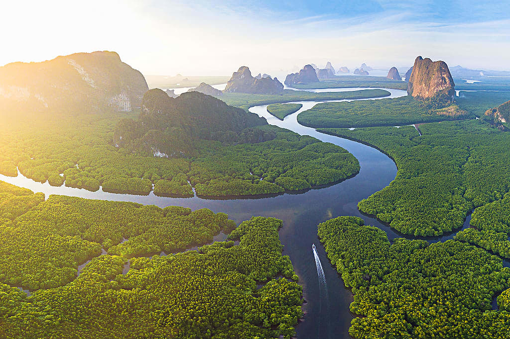 Sea waters winding through miles of mangroves and limestone karsts in Phang Na Bay, Thailand