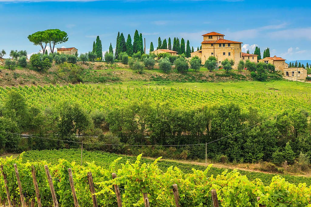 Vineyards in the Chianti wine region of Tuscany
