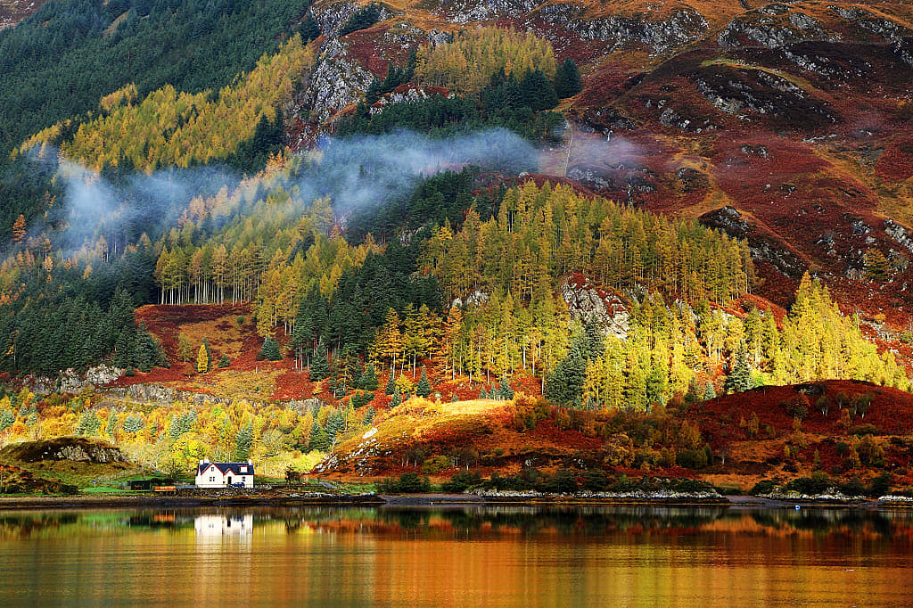 Fall foliage in the Scottish Highlands, UK