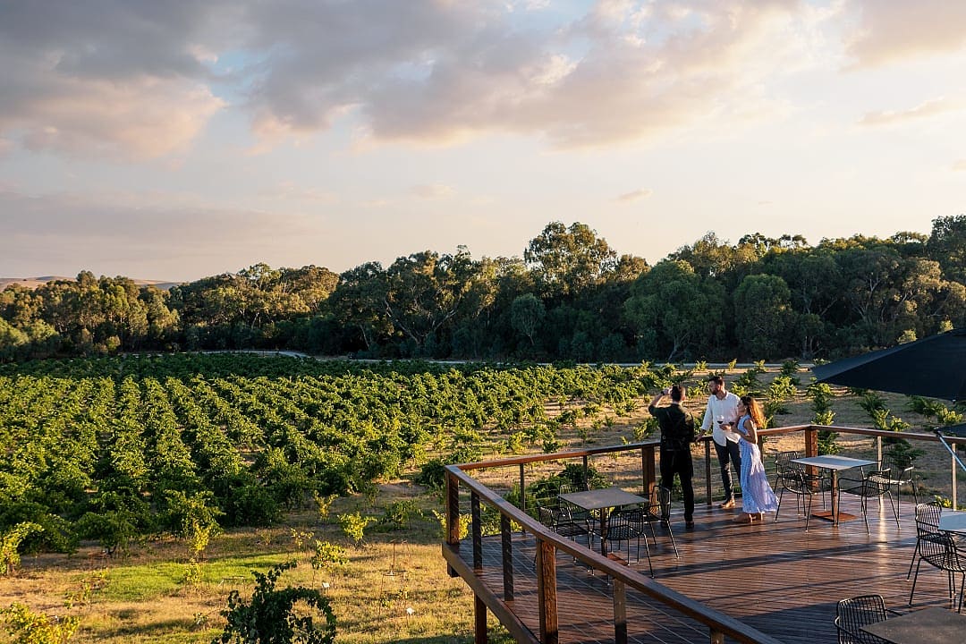 A couple enjoying a wine tasting experience in Barossa Valley, image supplied by Tourism Australia.