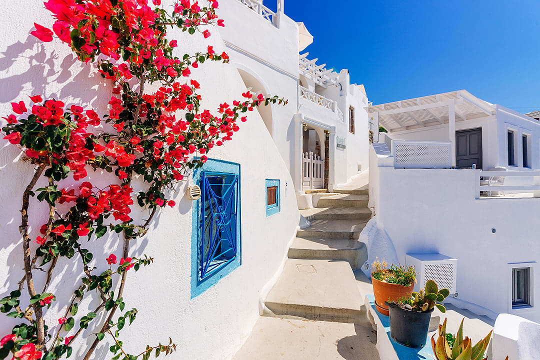 Whitewashed houses with bougainvillea and blue windows in Mykonos, Greece.