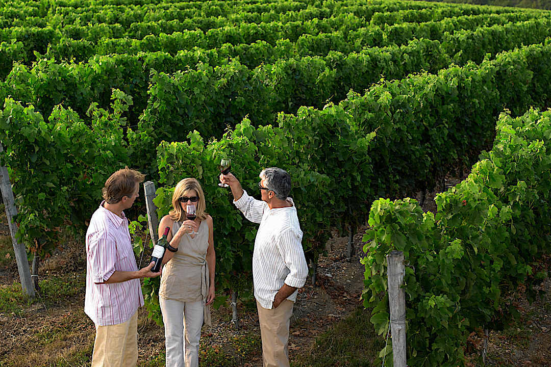 Couple enjoying a wine tasting experience in Bordeaux, France.