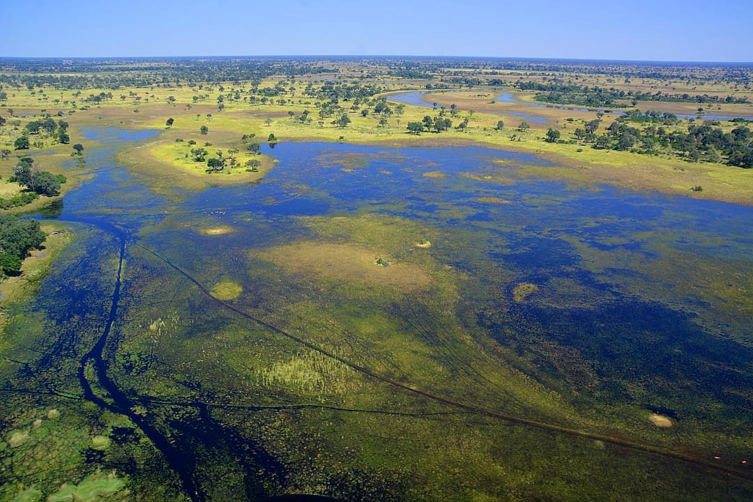 Okavango Delta, Botswana