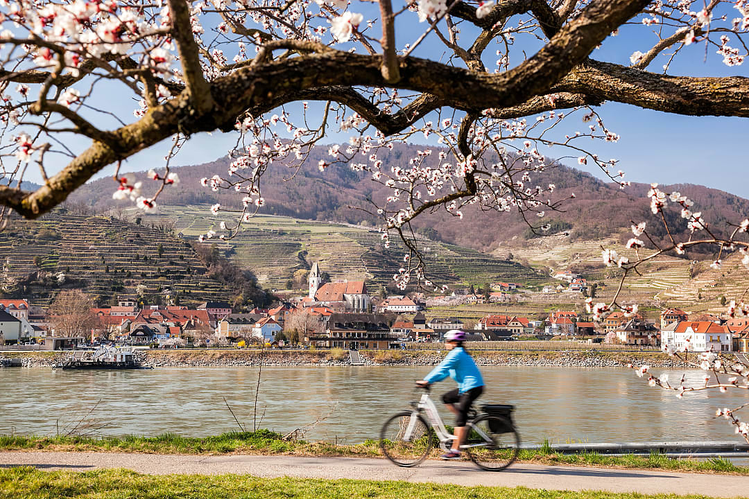 Woman biking the Danube Cycle Path in the Wachau Valley, Austria