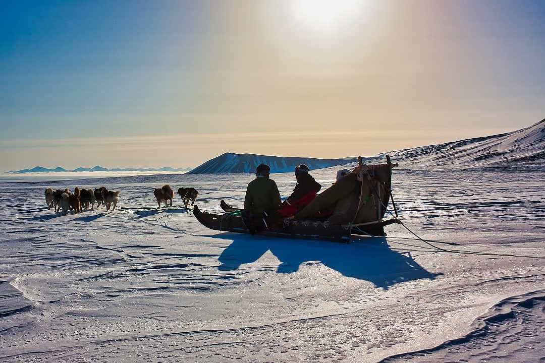 People enjoying a Dogsledding expedition in Greenland.