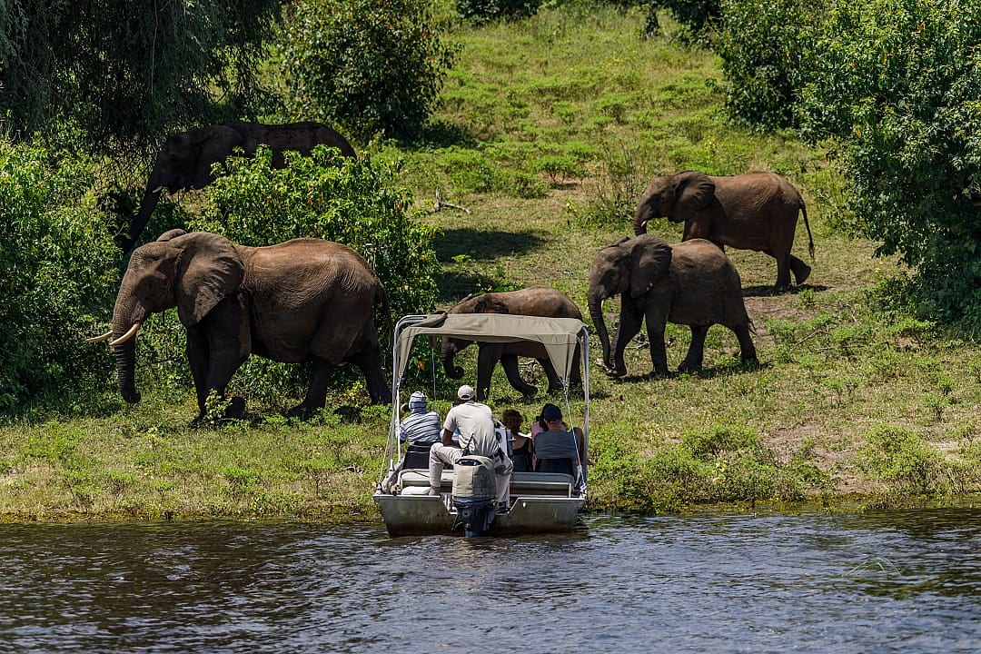 Group of travelers in a motorized boat on an aquatic safari in Botswana