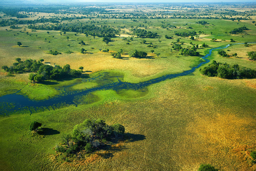 Aerial view of Okavango Delta, Botswana