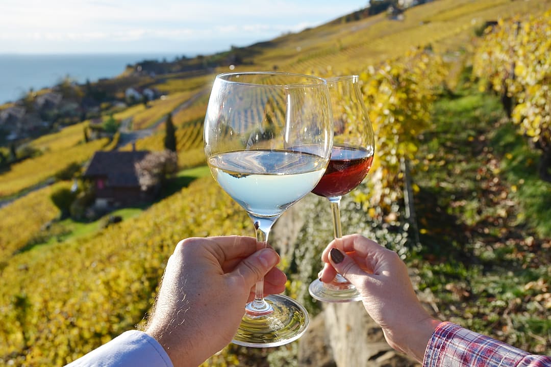 Couple holding wineglasses at a vineyard in Lavaux
